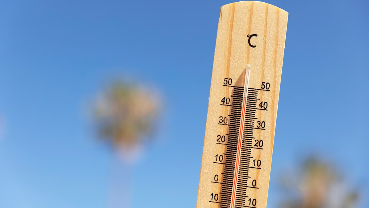 La ola de calor llevó a la ciudad de Neuquén cerca de la cima del ranking nacional