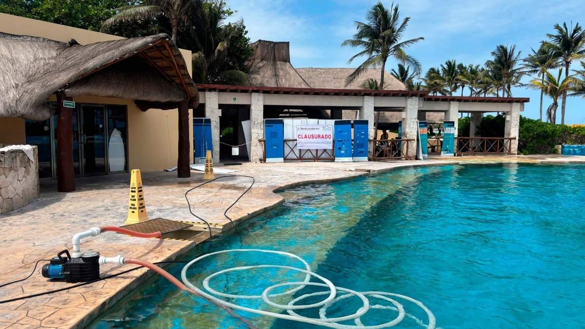La clausura definitiva del delfinario del Hotel Barceló