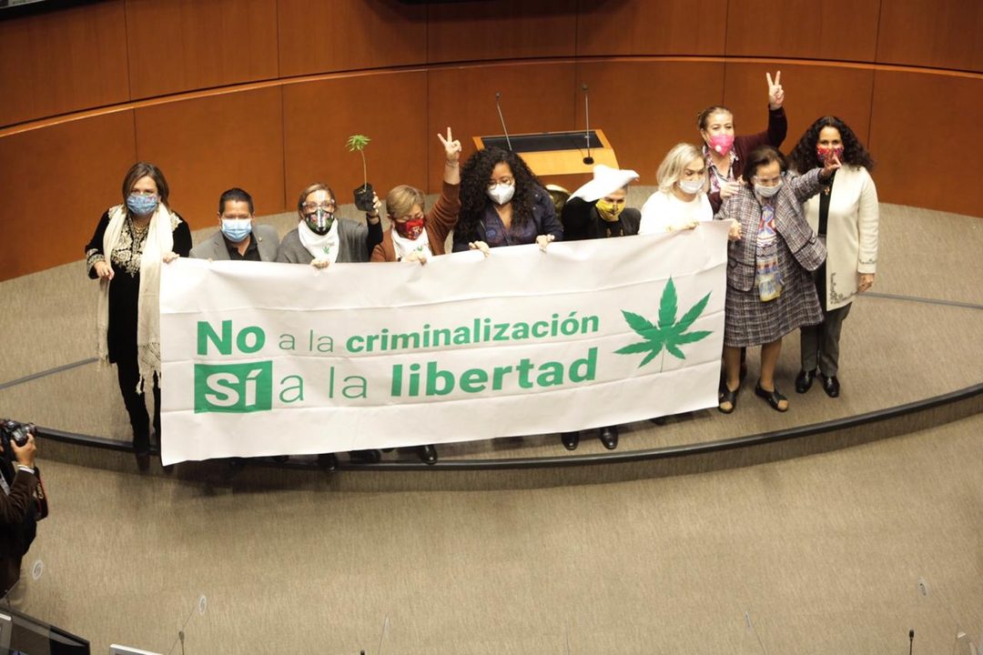 no a la criminalizacion