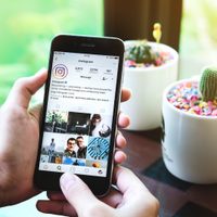 Descubrí por qué los cactus son un éxito en las redes sociales