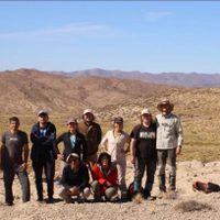 Hallaron restos fósiles de monos que habitaron en la región del Limay hace 15 millones de años