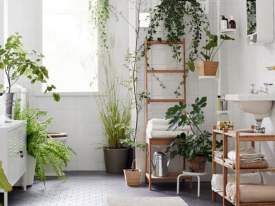 3 plantas que aman la humedad y son perfectas para colocar en el baño
