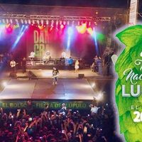 ¡Todos los artistas!: Conocé quiénes actuarán en la Fiesta del Lúpulo ¡Mirá!