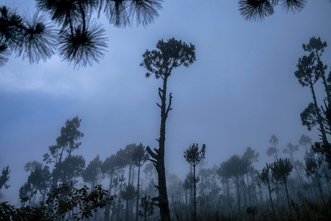 04_Veracruz