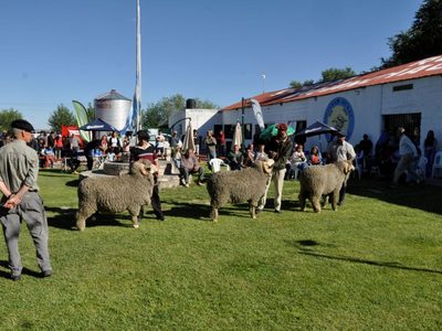 Con ventas que superaron los 6,5 millones de pesos, Maquinchao celebró su expo rural