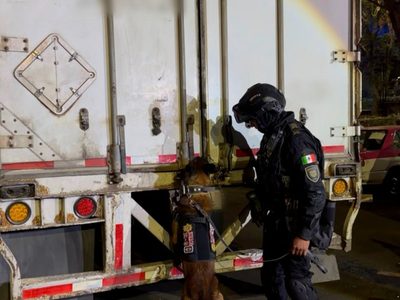Mariguana valuada en 15 millones de pesos fue detectada en un tractocamión que circulaba en la CDMX