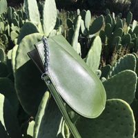 Emprendedores mexicanos usan nopal para crear cuero sustentable