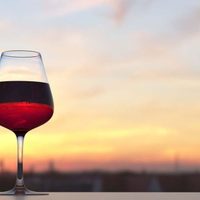 Río Negro producirá su propia levadura para vinos regionales