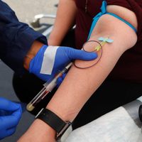 Un análisis de sangre podría detectar cáncer hasta 4 años antes que métodos actuales