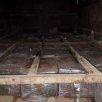 Militares aseguran una tonelada de langosta en Ensenada