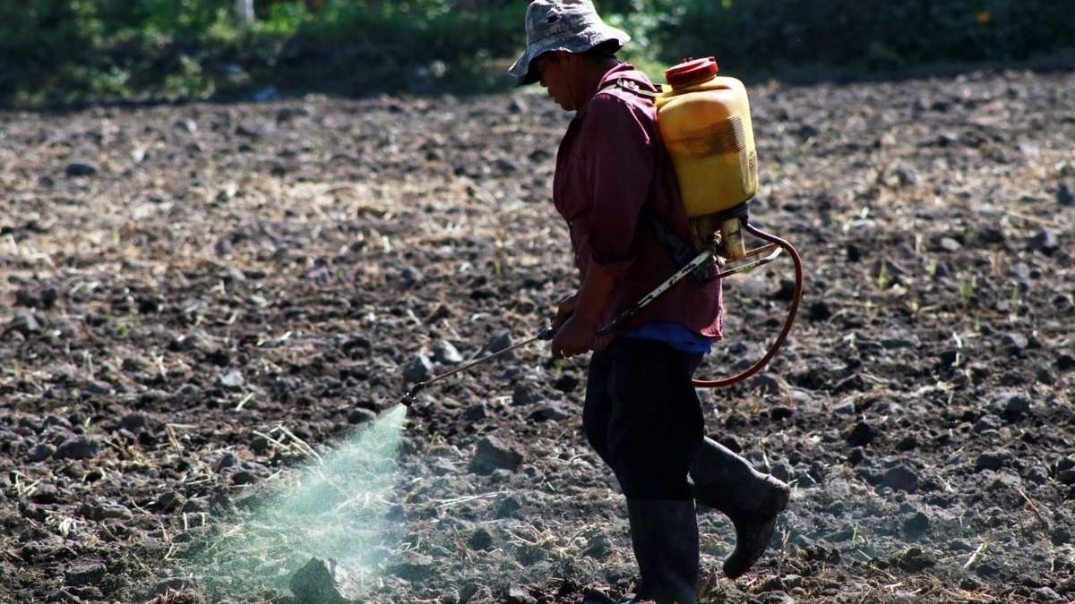 Fumigación de parcelas en Morelos
