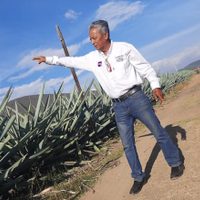Denuncian a candidato del PES que revictimizó a la saxofonista María Elena Ríos