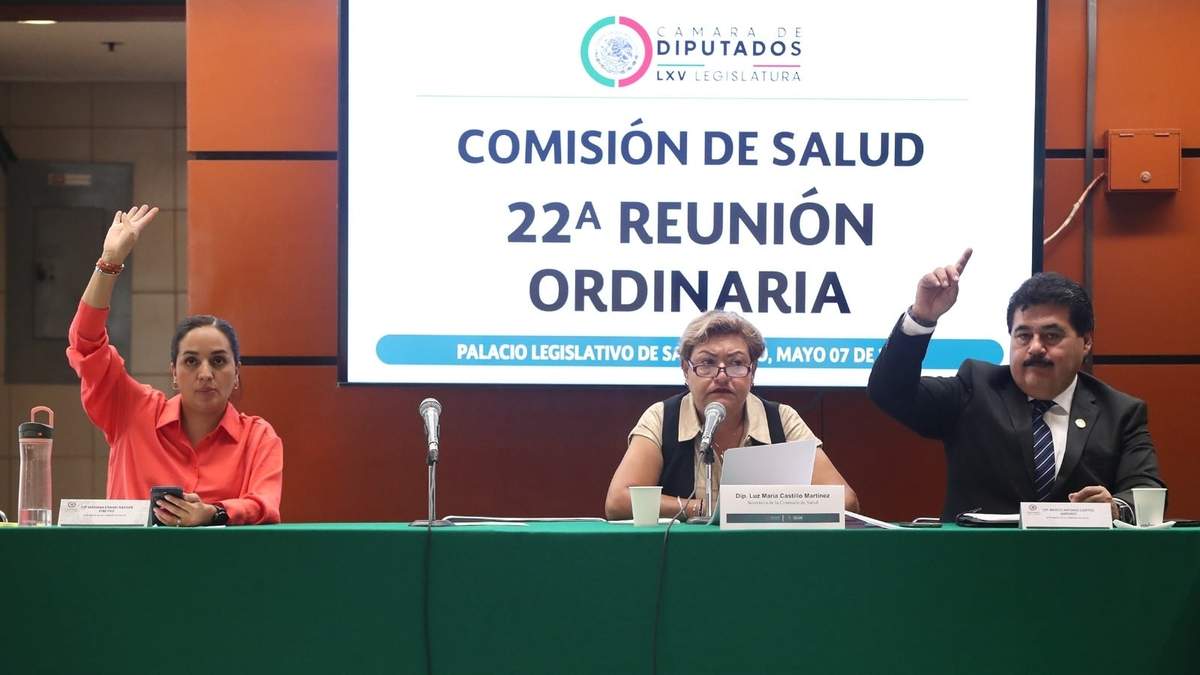 Sesión de la Comisión de Salud de la Cámara de Diputados