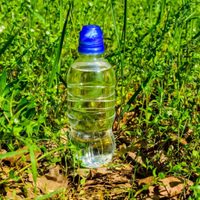 No tirés las botellas plásticas y hacé este efectivo sistema de riego subterráneo para tus plantas