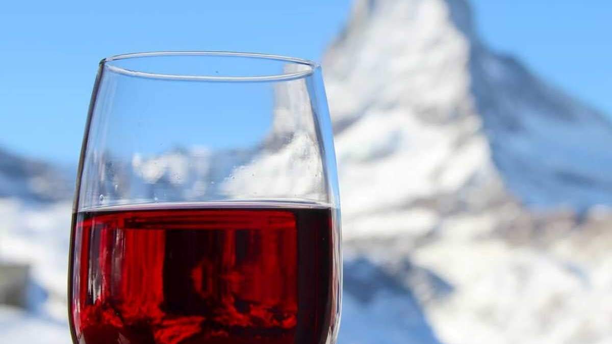 Vinos de la Patagonia versión online. Fuente: (Instagram)