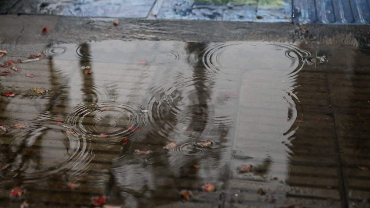 Se prevé lluvias inestables en Neuquén capital. Fuente: (Emiliano Ortiz)