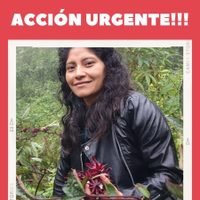 Denuncian la desaparición de defensora de derechos indígenas al viajar de Chiapas a la CDMX