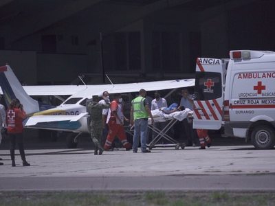 Un jabalí ataca a un niño de 12 años en Durango