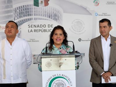 Senadores de Morena piden a Alejandro Murat retirar su registro de afiliación al partido