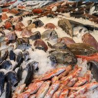 Caen las ventas de pescado en Semana Santa