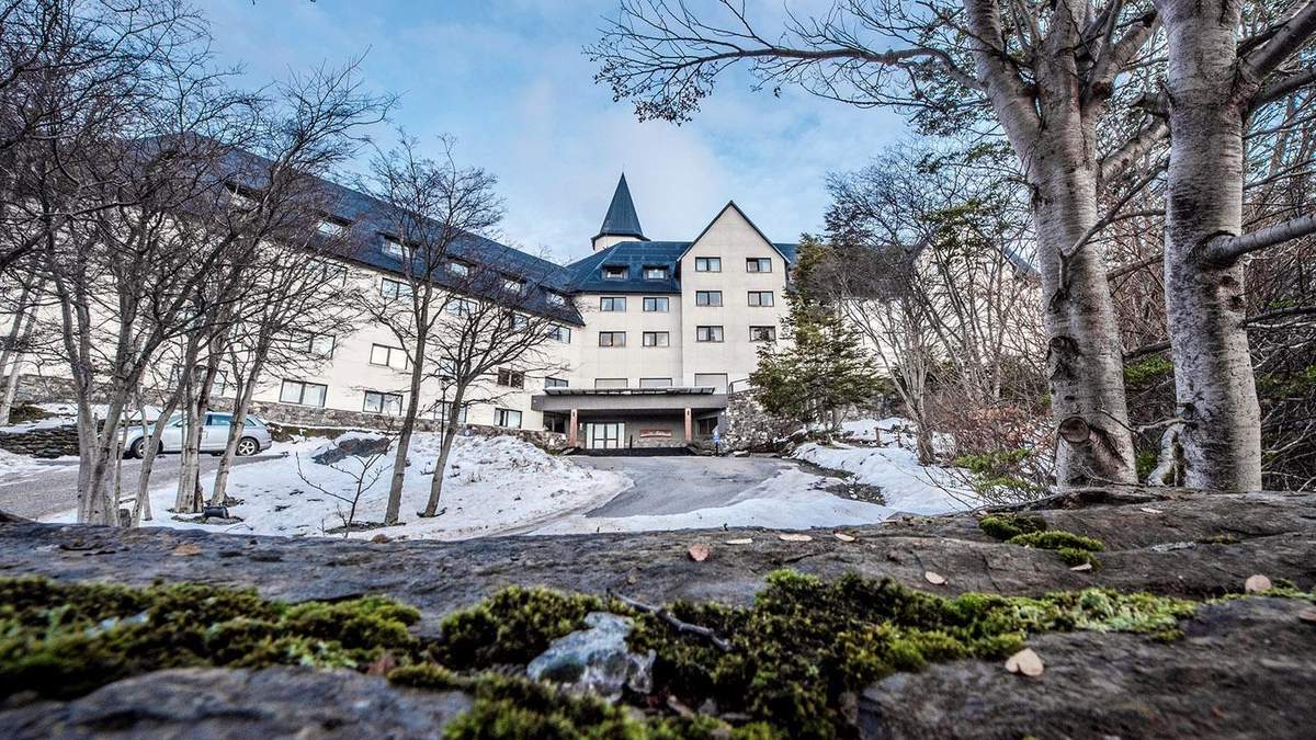 Hotel premiado en un bosque de ñires. Fuente: (Instagram)