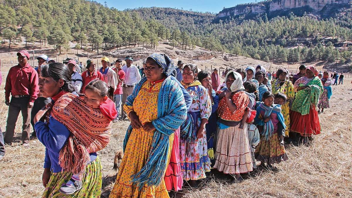 Rarámuri. Desplazados