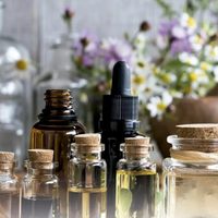 Los mejores aceites naturales para cuidar el pelo y la piel: cuáles elegir y cómo usarlos