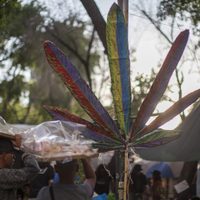 Dos niños se intoxican con "hielitos de sabores" con mariguana en Sonora