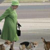 Esto pasará con los perros corgi de la reina Isabel II tras su muerte
