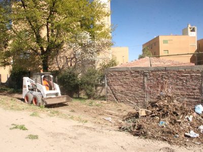 Zapala: fumigación y limpieza en el Barrio Nordeström ante la presencia de roedores