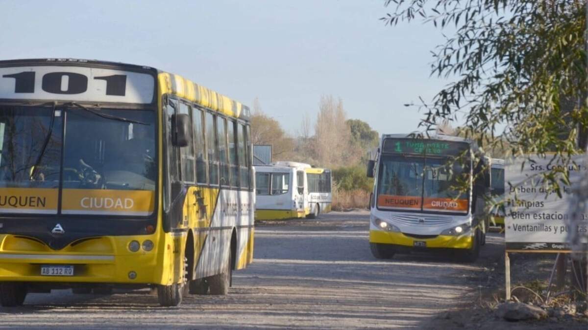Transporte Público. Fuente: (Facebook)