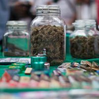 Protestan en la Ssa contra anteproyecto para control sanitario de la cannabis