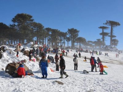 Primeros Pinos no tienen concesionario definido a pocas semanas de la temporada de invierno