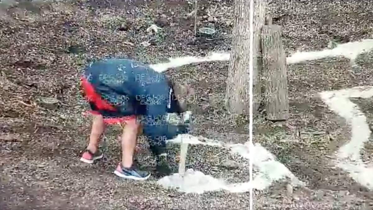 Por medio del C5 se observó a un hombre que causaba daños al sistema de riego, además de que colocó cemento alrededor del árbol