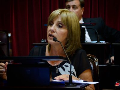 La diputada Liliana Fellner apuntó contra Gerardo Morales por el caso de Milagro Sala