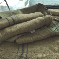 No tires las bolsas de las compras y reutilizalas para hacer esta práctica alfombra multiuso