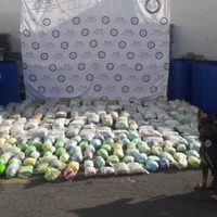 FGR decomisa 137 kilos de mariguana en un local de paquetería