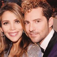 Rosanna Zanetti enamora más a David Bisbal con esta postal de "verano"