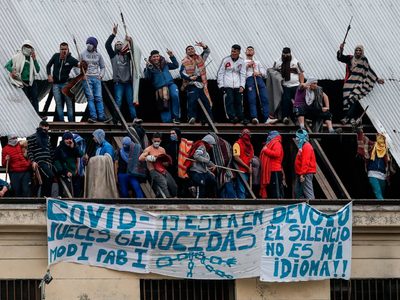 "Van a salir a cometer homicidios, lo que hacen normalmente", el furcio de un senador del PRO