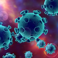 Para saber si te expusiste al coronavirus: la UNCo difundió un novedoso test