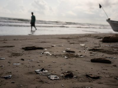 Derrame de crudo en el Golfo y cambio de hábitos hunden a pescaderías; reportan caída de hasta 40%