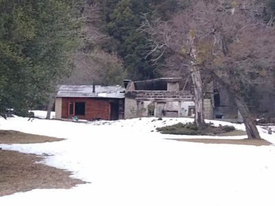 Río Negro: piden custodia Federal para el predio incendiado en Villa Mascardi