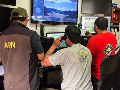 Una tormenta eléctrica provocó tres focos de incendios en el Parque Lanín