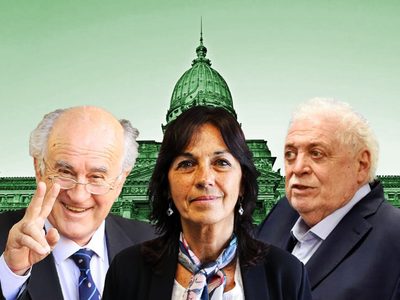 Interrupción Voluntaria del Embarazo: el Senado comenzará a trabajar desde este lunes en el proyecto