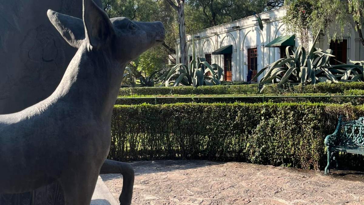 El Museo Dolores Olmedo
