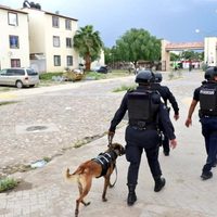 Kevin, de 13 años, murió baleado en un tianguis de León, Guanajuato