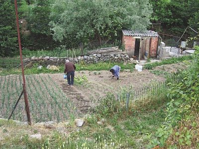 Piden que se autorice a trabajar en los huertos propios a adultos mayores