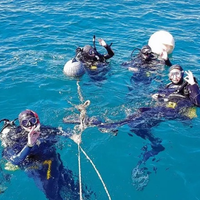 Las Grutas todo el año: el buceo que revela un mundo oculto en la costa de Río Negro