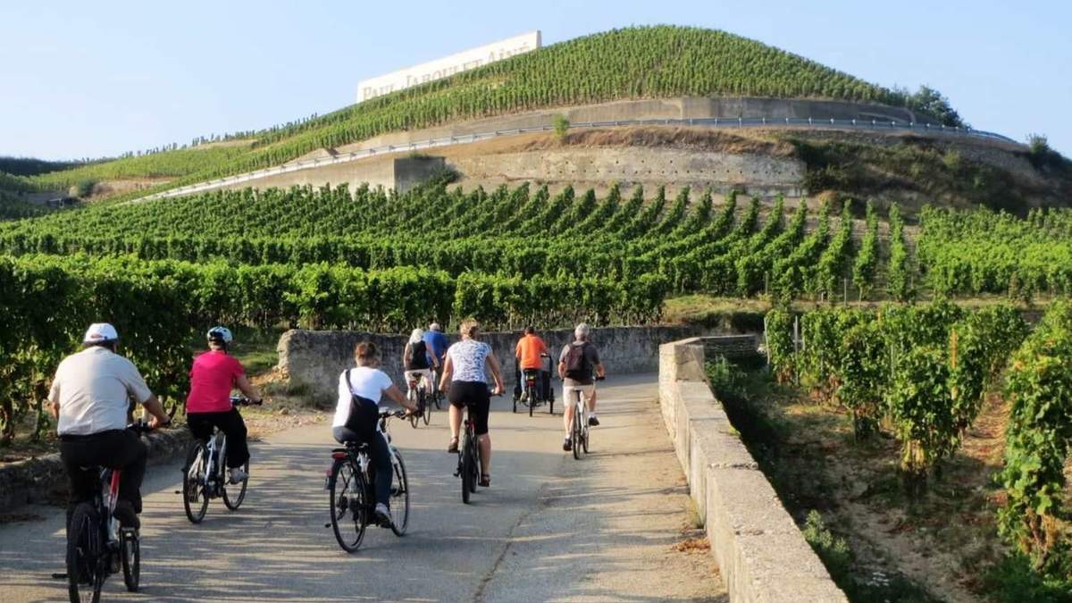 Crean diccionario para enoturismo. Fuente: (Facebook)