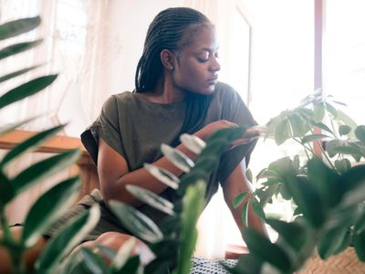 Así lograrás que las plantas de exterior prosperen en el interior del hogar